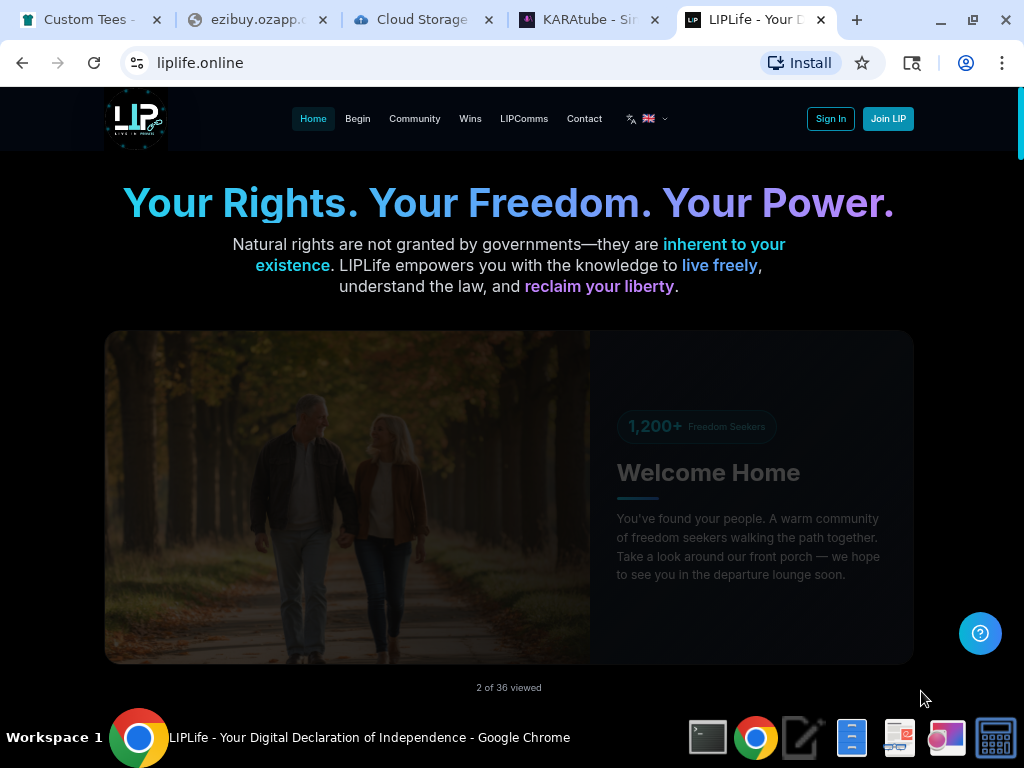 Screenshot 1