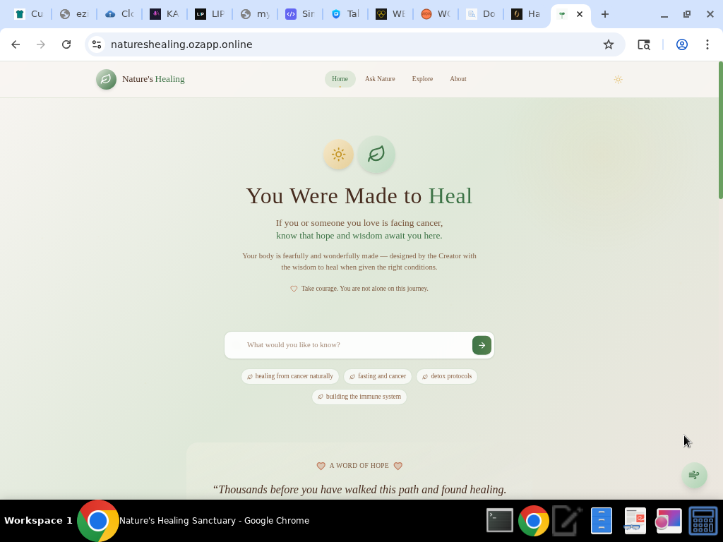 Screenshot 1