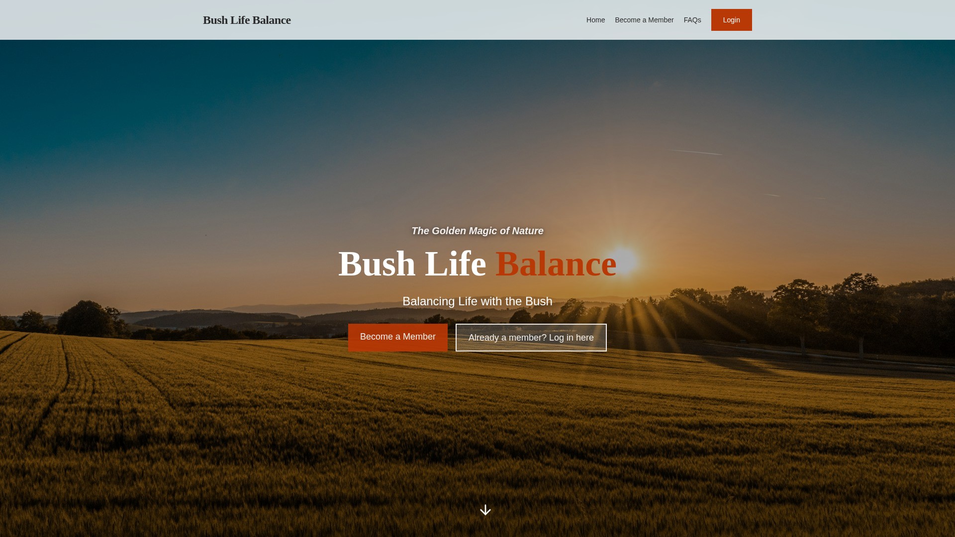 Bush Life Balance